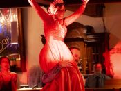 Nutzen Sie die Macht der Tastatur! Die Pfeiltasten schalten die Bilder weiter. (226/233)