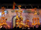 Nutzen Sie die Macht der Tastatur! Die Pfeiltasten schalten die Bilder weiter. (72/283)