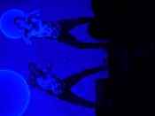 Nutzen Sie die Macht der Tastatur! Die Pfeiltasten schalten die Bilder weiter. (134/283)