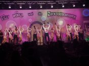 Nutzen Sie die Macht der Tastatur! Die Pfeiltasten schalten die Bilder weiter. (246/283)