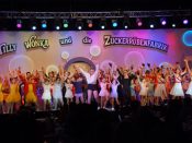 Nutzen Sie die Macht der Tastatur! Die Pfeiltasten schalten die Bilder weiter. (271/283)