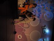 Nutzen Sie die Macht der Tastatur! Die Pfeiltasten schalten die Bilder weiter. (69/95)