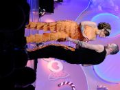 Nutzen Sie die Macht der Tastatur! Die Pfeiltasten schalten die Bilder weiter. (215/276)