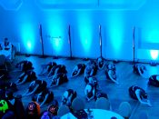 Nutzen Sie die Macht der Tastatur! Die Pfeiltasten schalten die Bilder weiter. (1/274)