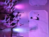 Nutzen Sie die Macht der Tastatur! Die Pfeiltasten schalten die Bilder weiter. (176/274)