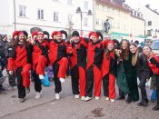 Nutzen Sie die Macht der Tastatur! Die Pfeiltasten schalten die Bilder weiter. (265/527)