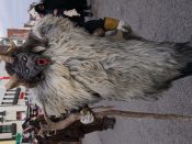 Nutzen Sie die Macht der Tastatur! Die Pfeiltasten schalten die Bilder weiter. (314/527)