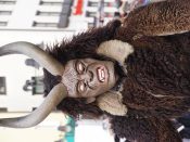 Nutzen Sie die Macht der Tastatur! Die Pfeiltasten schalten die Bilder weiter. (316/527)