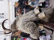 Nutzen Sie die Macht der Tastatur! Die Pfeiltasten schalten die Bilder weiter. (320/527)