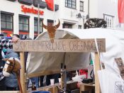 Nutzen Sie die Macht der Tastatur! Die Pfeiltasten schalten die Bilder weiter. (379/527)