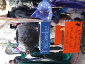 Nutzen Sie die Macht der Tastatur! Die Pfeiltasten schalten die Bilder weiter. (384/527)