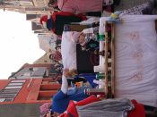 Nutzen Sie die Macht der Tastatur! Die Pfeiltasten schalten die Bilder weiter. (386/527)