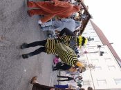 Nutzen Sie die Macht der Tastatur! Die Pfeiltasten schalten die Bilder weiter. (423/527)