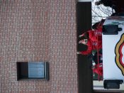 Nutzen Sie die Macht der Tastatur! Die Pfeiltasten schalten die Bilder weiter. (516/527)