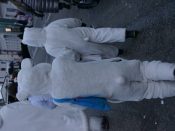 Nutzen Sie die Macht der Tastatur! Die Pfeiltasten schalten die Bilder weiter. (522/527)